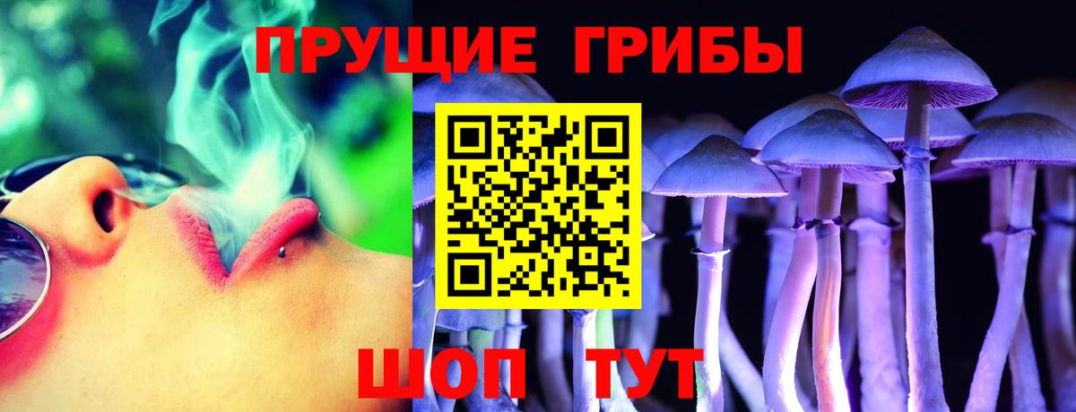 Фурманов  Галлюциногенные грибы Psilocybine cubensis  Псилоцибиновые грибы Psilocybe  Вход с VPN 